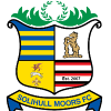 索利赫尔队标