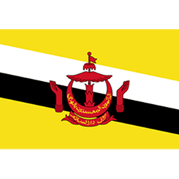文莱队标